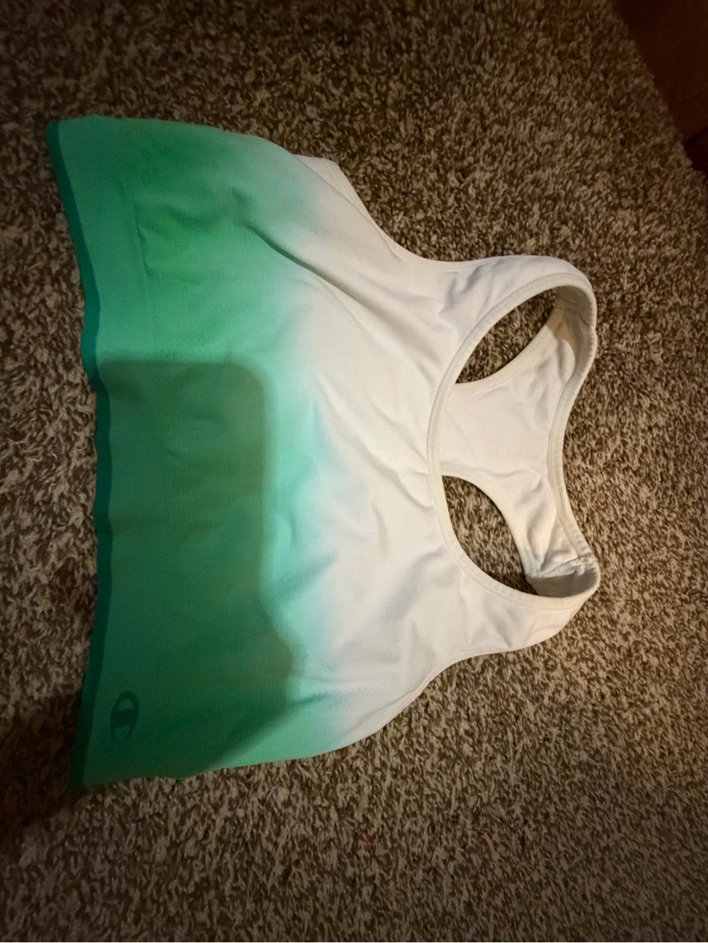 Champion Ombre White to Green Sports Bra Top size XL
